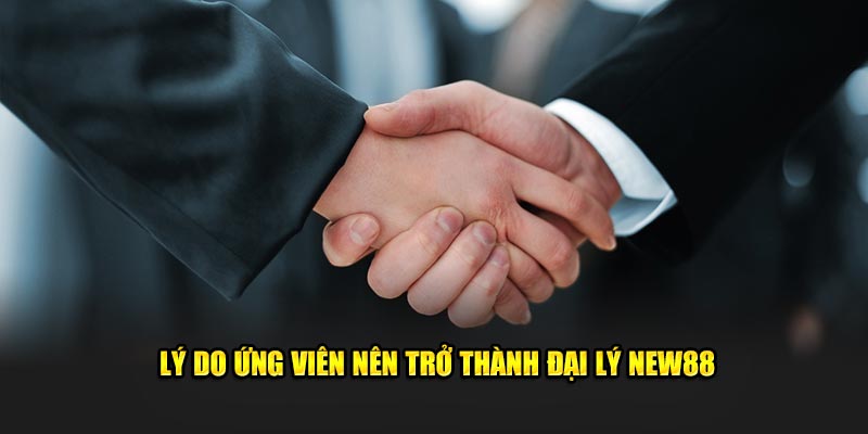 Lý do ứng viên nên trở thành đại lý New88