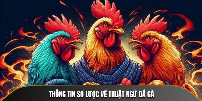 Thông tin sơ lược về thuật ngữ đá gà