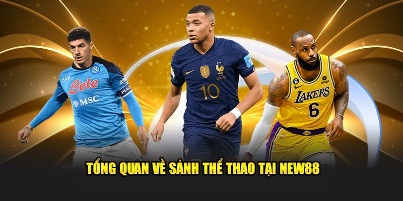 Tổng quan về sảnh thể thao trực tuyến tại New88