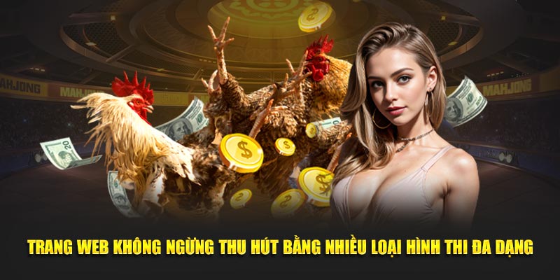 Trang web không ngừng thu hút bằng nhiều loại hình thi đa dạng