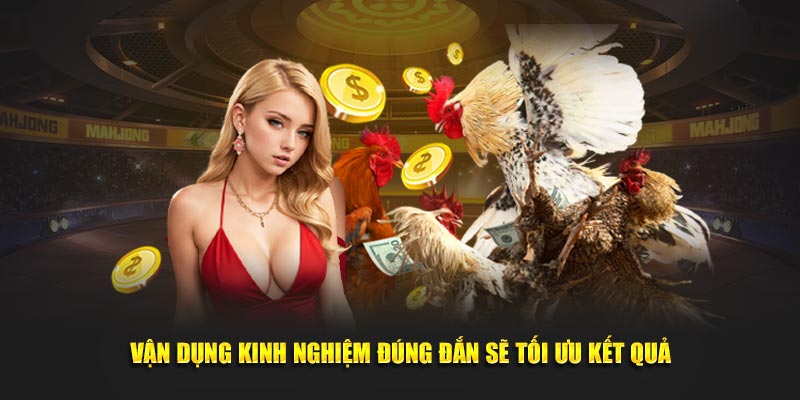 Vận dụng kinh nghiệm đúng đắn sẽ tối ưu kết quả