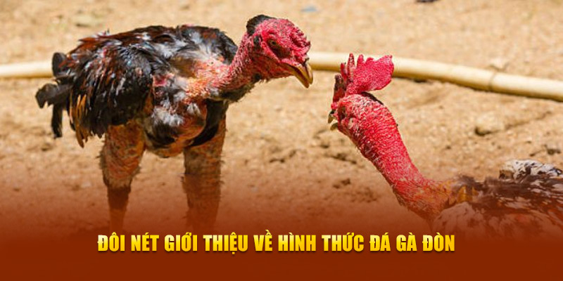 Đôi nét giới thiệu về hình thức đá gà đòn